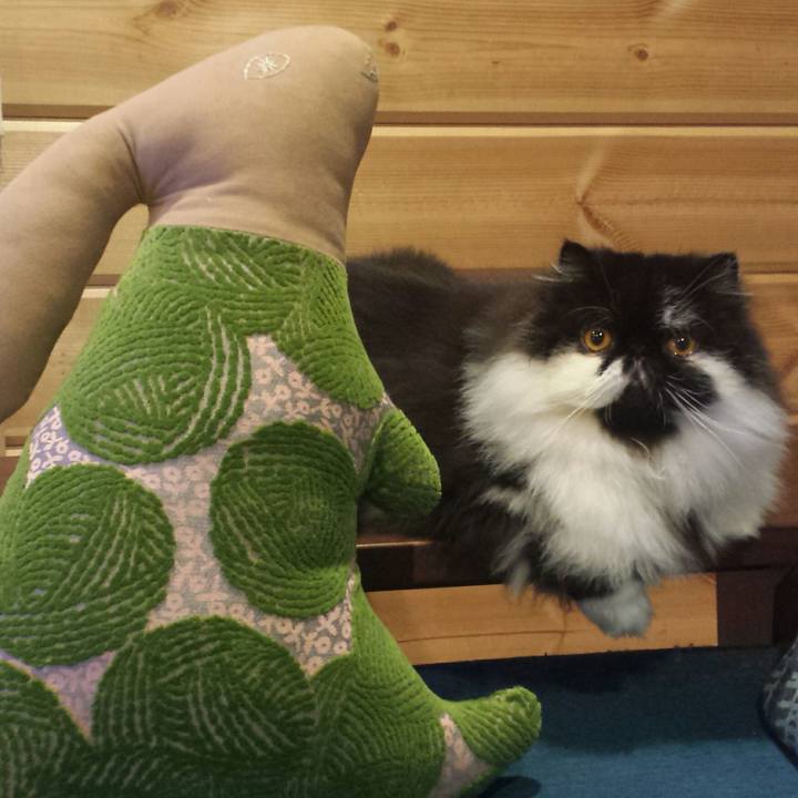 97092055 b730 4a5f 9f05 4d85d5c5d3a3 1516111102709