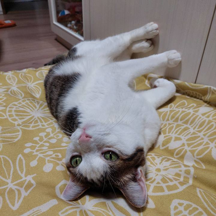 97097f69 75f3 4f5c 85d1 1d942cdf9ee5 1752496202277