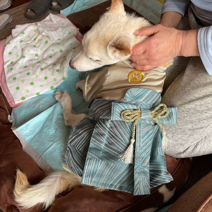 970982b9 daeb 4e80 bf7c 57e674b6f2e5 1675418972122