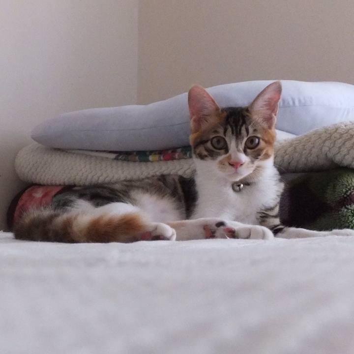 9709bb0f 87bb 405f 9ac6 3f954d3512f0 1631425304575