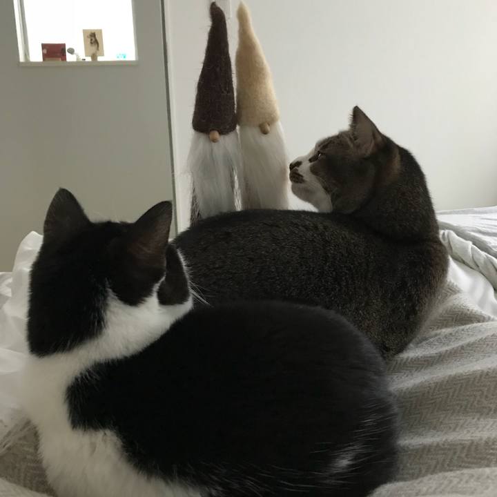 9709c012 dbde 4d75 906d 94fe25d88c27 1514181143851