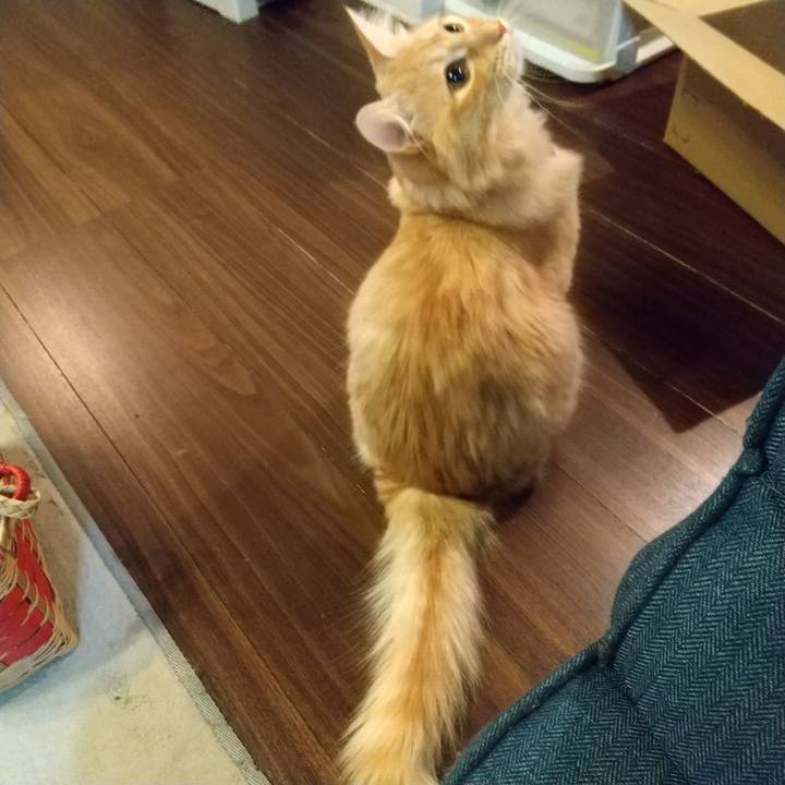 970a1fbc e29f 4e8a bd59 9a08a8a12171 1640959260068