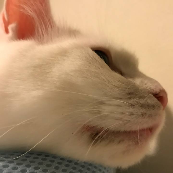 970a375b 3666 4d0e b8d4 df105c2d4997 1523591925420