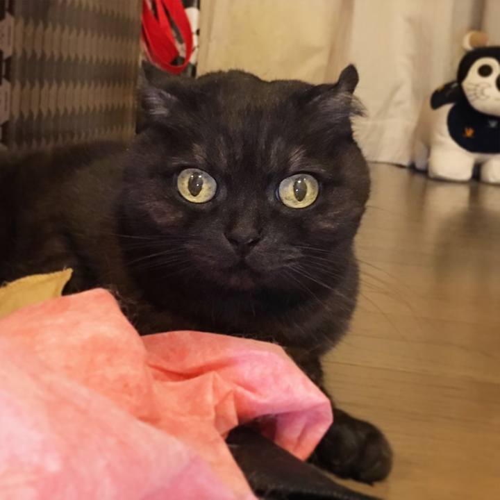 970a6873 e57f 44bc aed8 270133faf40f 1520518669756