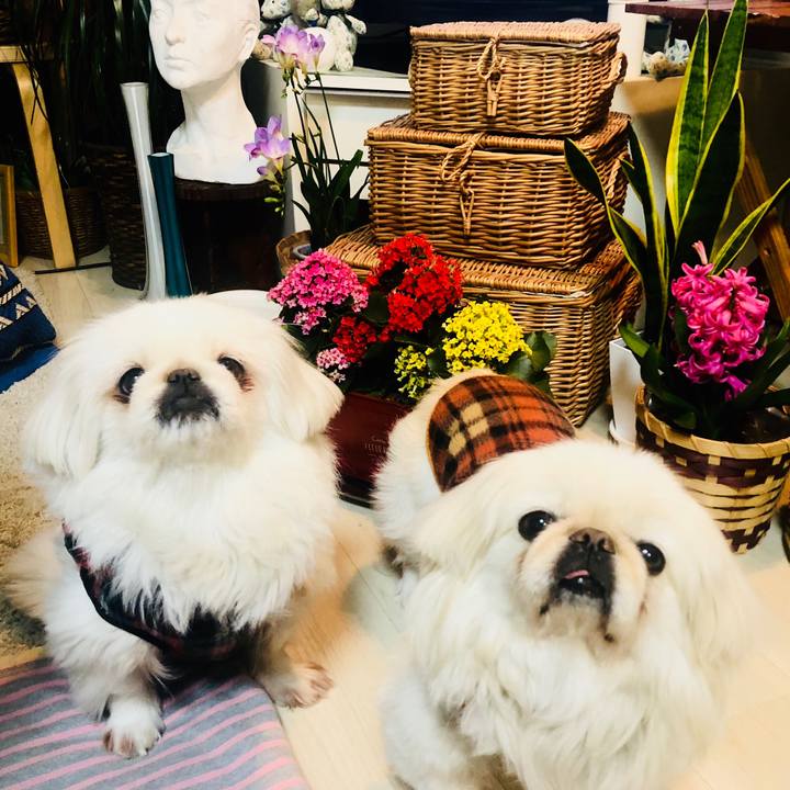 970a7857 5d55 451b 9881 fef54965c7ab 1583748846260