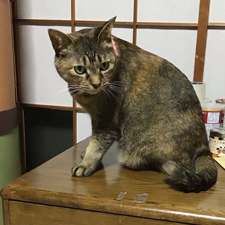 970ac1e5 f6d0 428c 8e4f 517f3a17f627 1744980909172