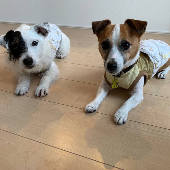 970ae0eb 63d9 4b5a b89f 99adfc9340f3 1561540303830