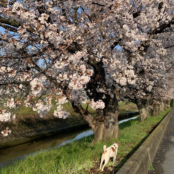 970af1cb 16be 4efb 8a72 1b4473d97b77 1616744896766