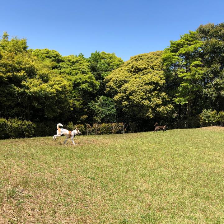 970b3a19 9d16 4073 a733 c4c1aa3594bc 1589543742919