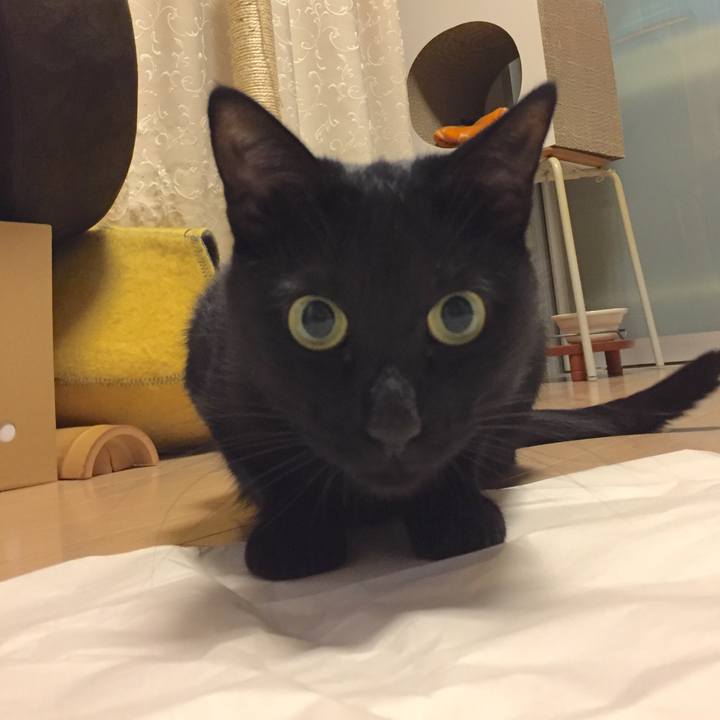 970b7692 6cd4 49bc b6cc ec20686f5314 1508508313719