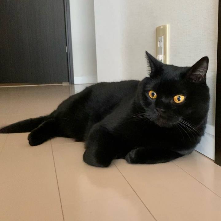 970b8334 0d4e 4daa 94d3 6814c64a3d70 1647782820570