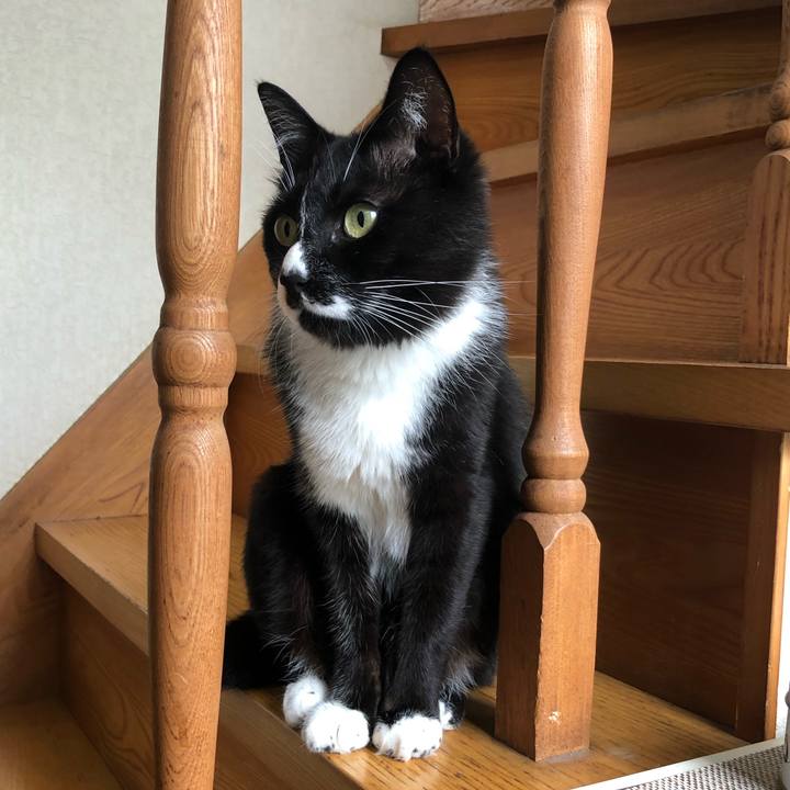 970b8ad0 a4bc 4c84 84da 869d1bb59497 1625109946393