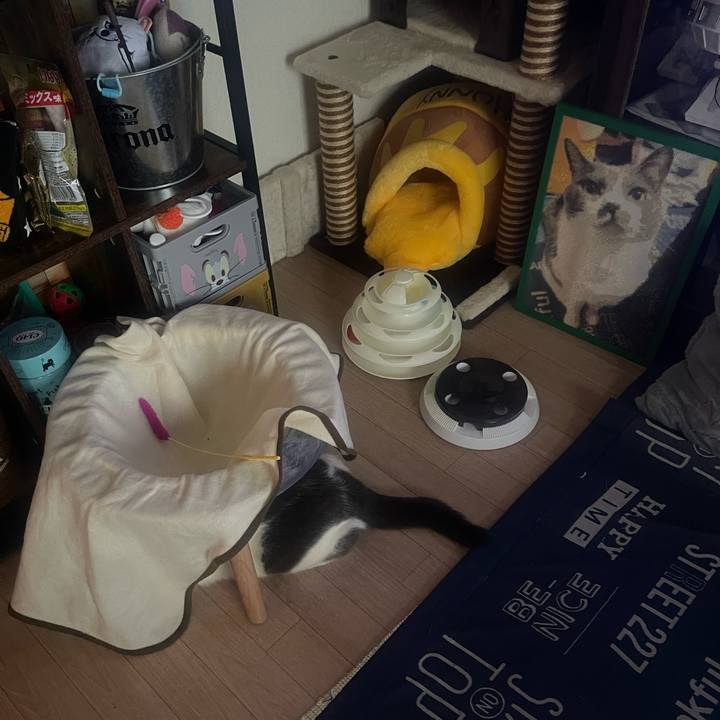 970b8c39 77af 4167 9ff3 96bbc88cbdf2 1745359754892