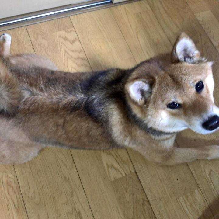 970b93fa d6b6 4c23 8a6f ae6600834791 1554630443330