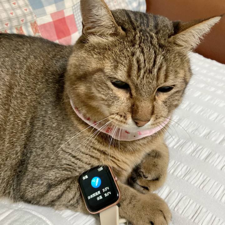 970ba7da c858 4452 9952 f1181b6d2d06 1659750447108