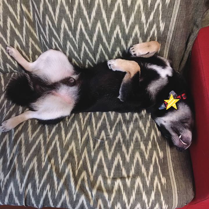 970bbdc6 934e 4b23 9d42 c9424669c3eb 1532781969740