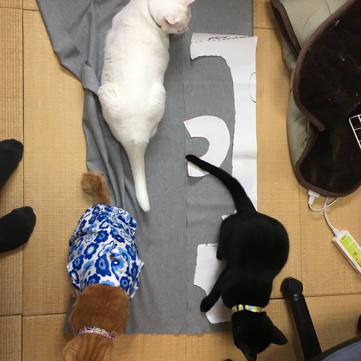 970c030b c5ff 4a2e b0f8 6bc81e4d3510 1521614866885