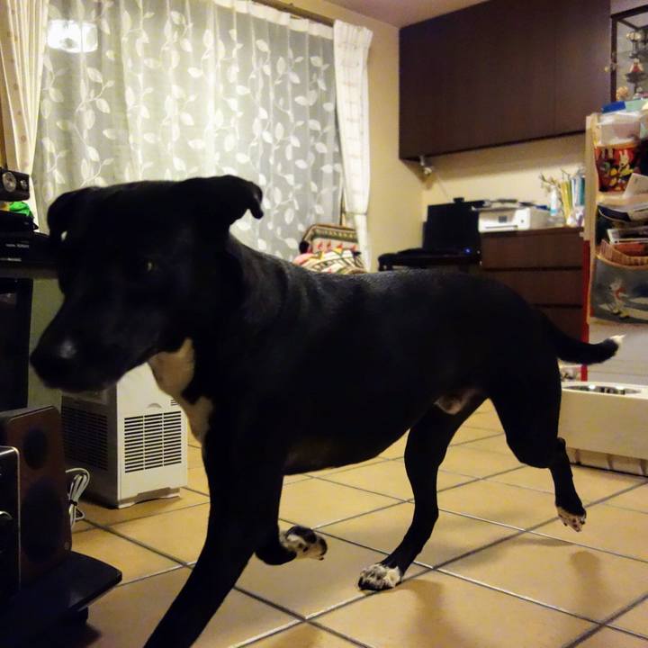 970c2a9c 9e6a 4a17 9b5f 3f2f4b32a517 1614076761865