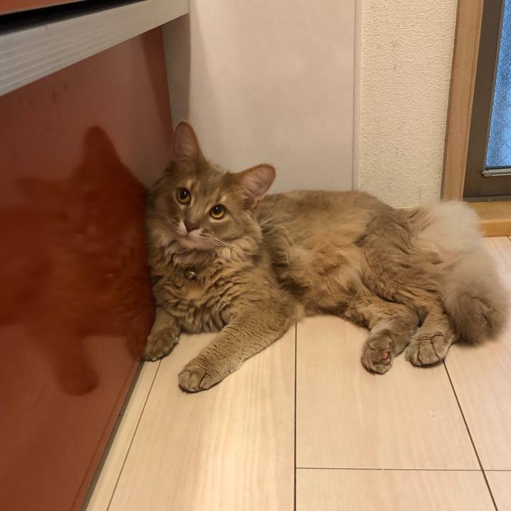 970c3153 52fe 4712 b6e3 426e972a63cd 1566286649158