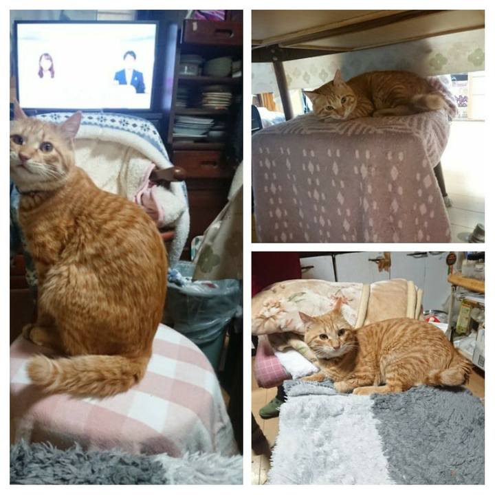 970caf25 8a4d 4f33 82db 4e9c7a8daf81 1646043044587