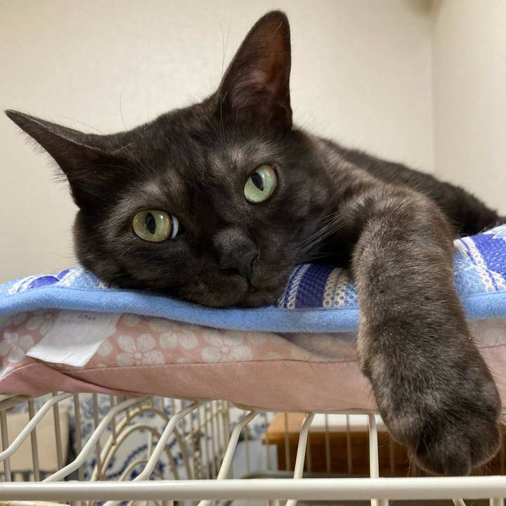 970cb322 0c3b 4e0e ae76 37619dc3d0c0 1709162409740