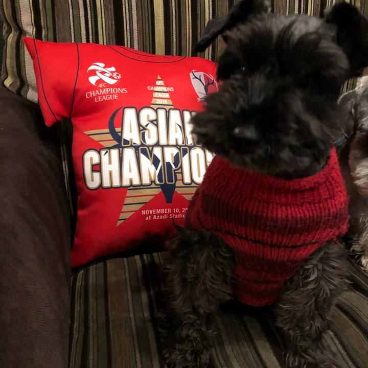 970cfb34 4af9 4a73 a988 4c090fc26e3e 1549118323756