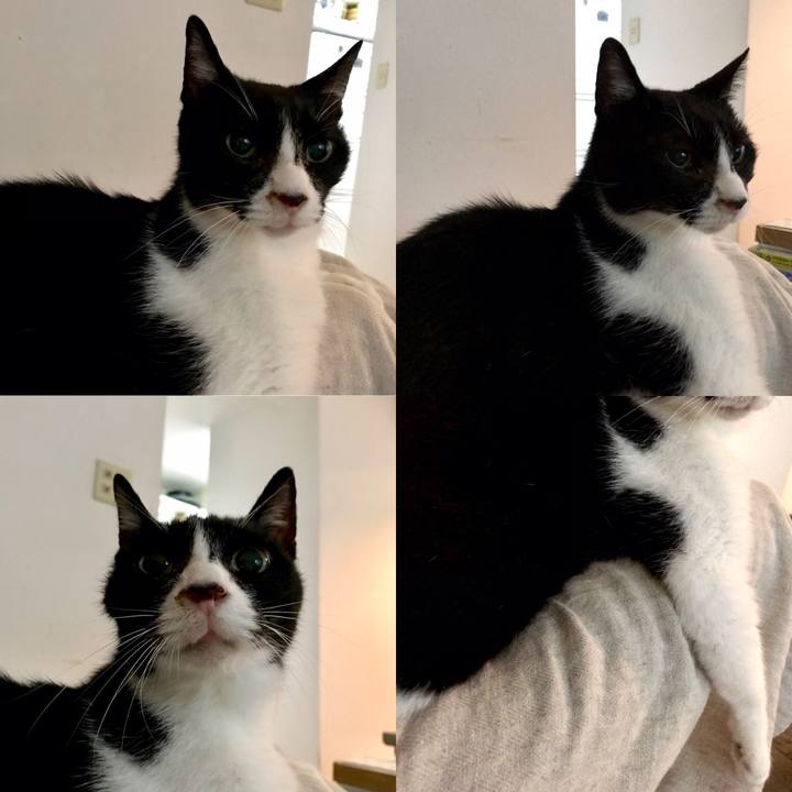 970d1cc9 36b5 46ec bb02 9e89e3468d35 1570154319994