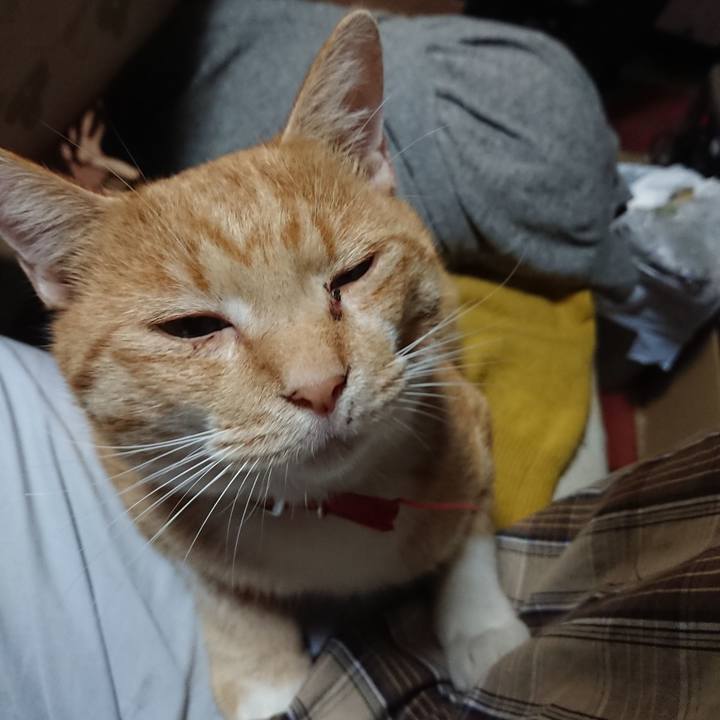 970d3232 3931 489e 8e45 8dfe1a9a36f5 1571658995682