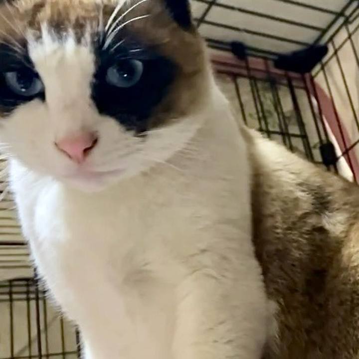 970d4be0 0d30 45b5 b10b 7a084a33fa79 1739352259490