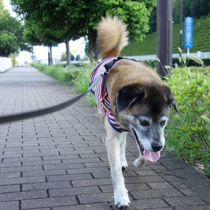 970d7ab1 b311 4d8f 945a 87a8371cbe5b 1643246305179