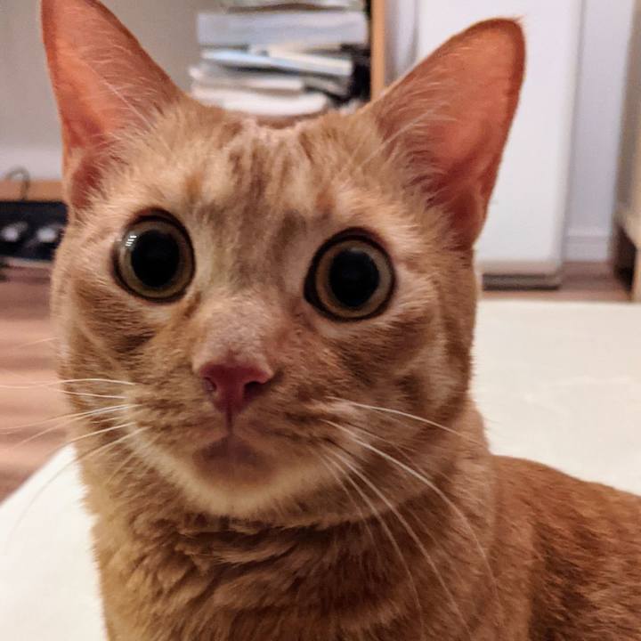 970da63d a4be 4306 9411 442932a45edd 1631099423316