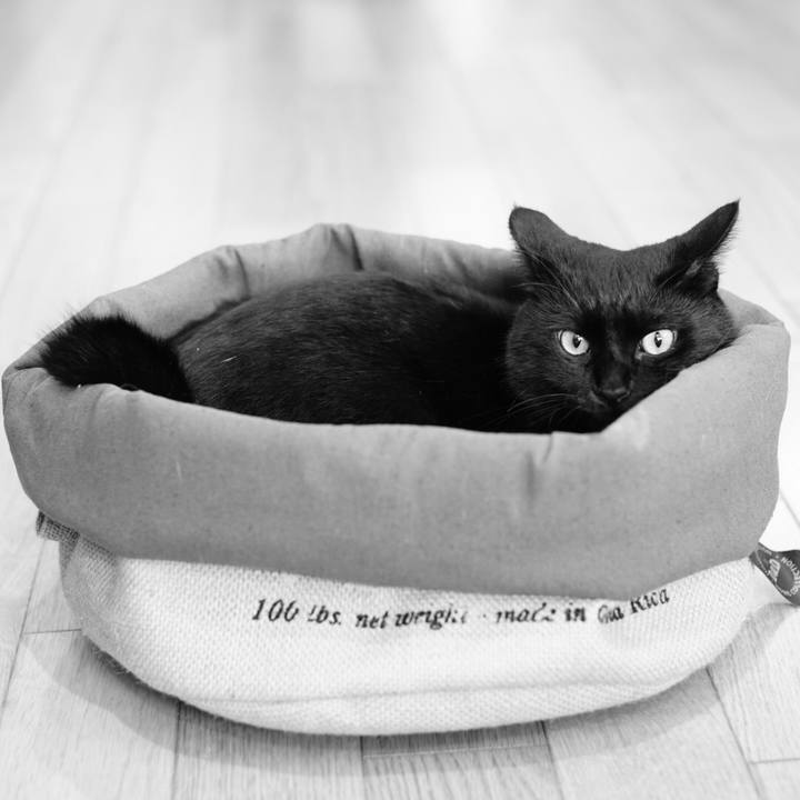 970dd0e1 ce37 4b18 9e98 9227567adb7d 1533526895904