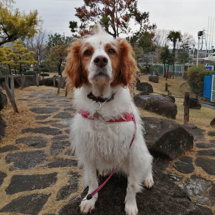 970de713 19a8 43d1 ab27 016fc346c3c4 1610437831093