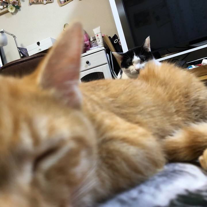 970e0036 0beb 490e a85e 5a9660b1301c 1570367233812