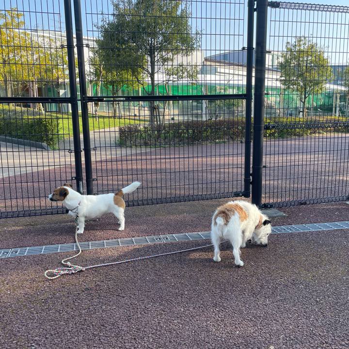 970e229d 69bd 4295 a655 9e5506316947 1712450003490