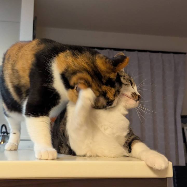 970e2a2a 8e60 49a1 a62d e0e021f5253b 1756361065120