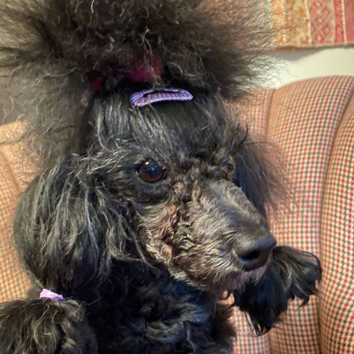 970e50d0 a5df 495f bf3f d2e118b7d884 1660123741705