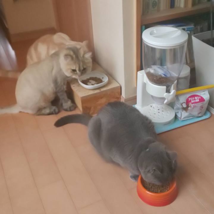 970e5a82 5ec9 4964 92ce e7f3d8d16156 1591434906151