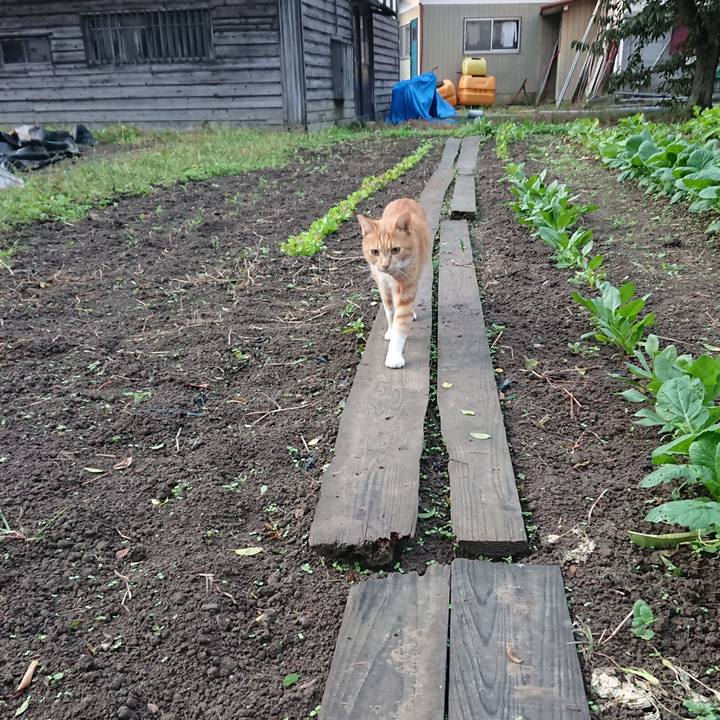 970eaa11 c8cd 42e3 abdc ee207f06c343 1570223740298