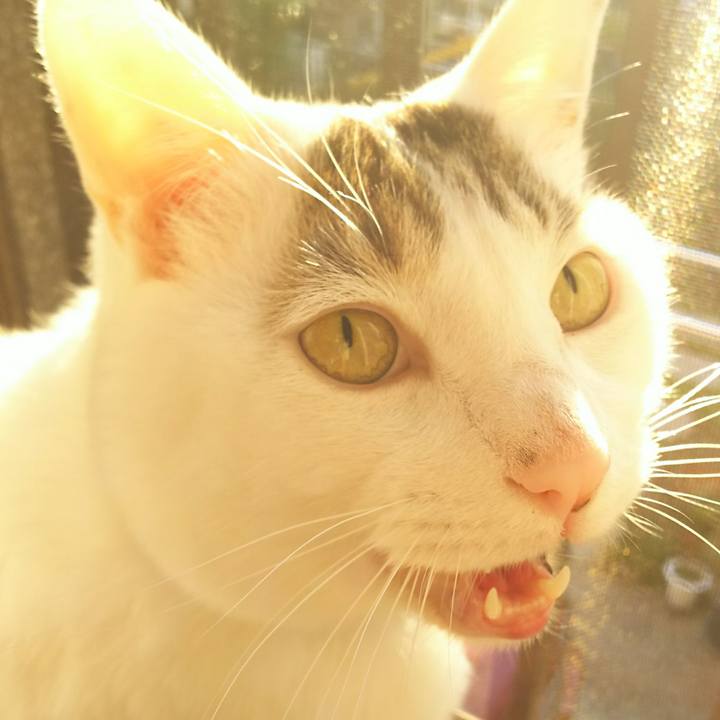 970f17a8 6941 4343 a3e9 9af4a438bf19 1515255431445