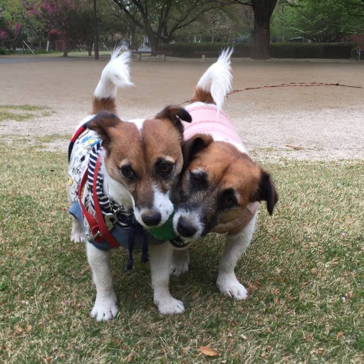 970f189f a9c2 447c 8fc1 34f1ab36838f 1523022654772