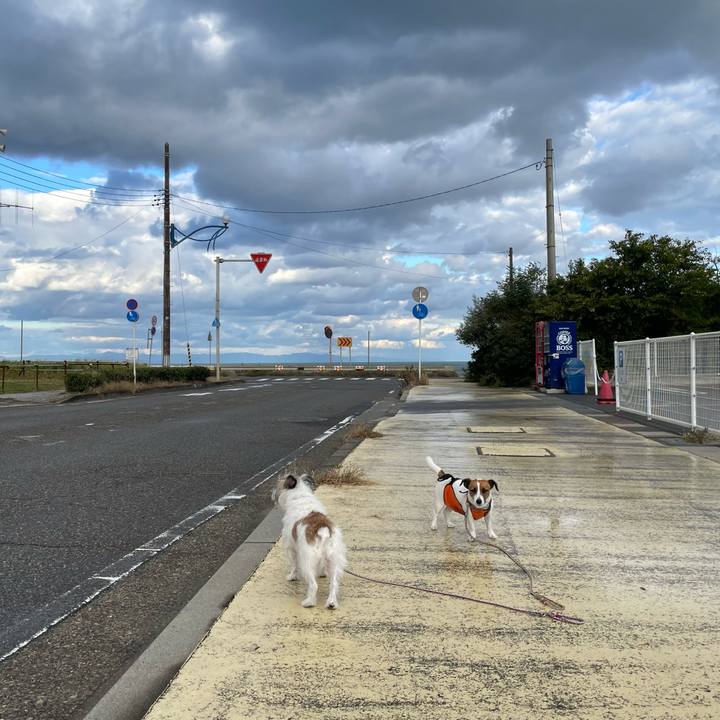 970f1a0c 1312 4362 b74d b2d905eedfa5 1667087579137