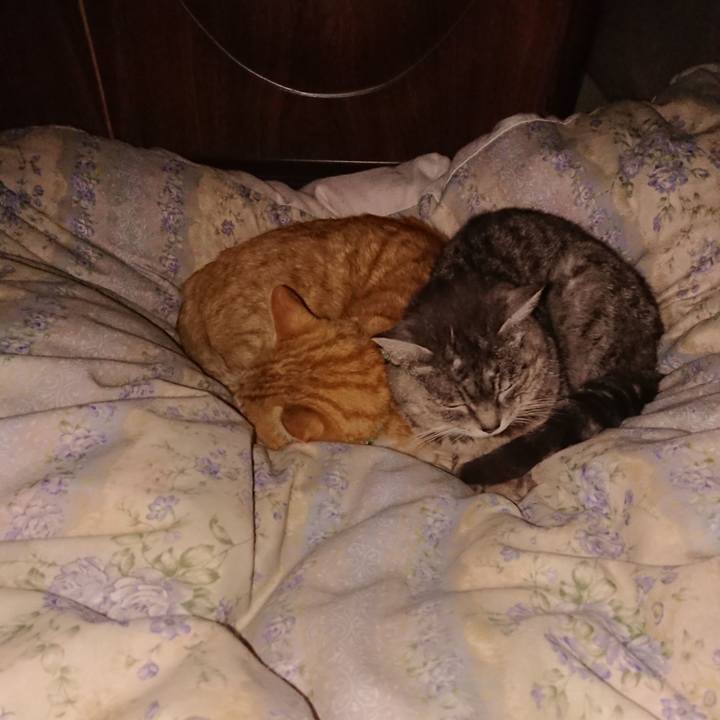 970f31ce a9fa 4e6d b57d 64f0b4da5639 1583592977672