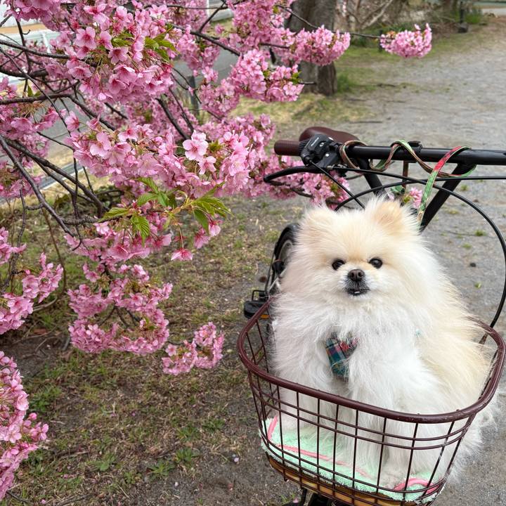 970fa671 c082 47fb 8509 5a17adafc983 1772464234252