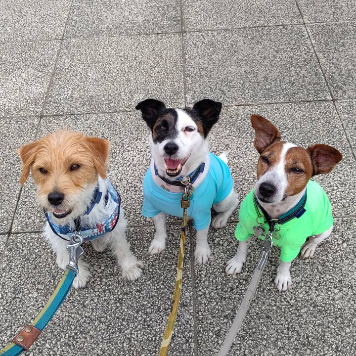 970ffe16 0b9a 41e9 b55e 7c9e6e19a31e 1696136226063