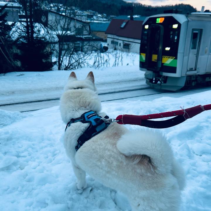 97100010 f4cb 4562 9fde f290ad644c90 1737415921438