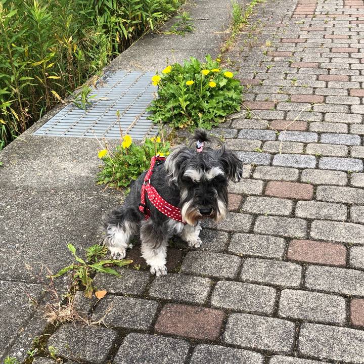 97104759 1a09 438e bf11 10d64cc35921 1559443086395