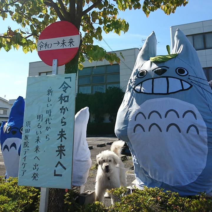 97104842 17a7 4c0a 8f61 66bda0751b94 1568438616317