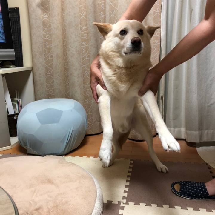 97104dd0 667d 4a30 84e7 3ecf9c87832a 1558524261483