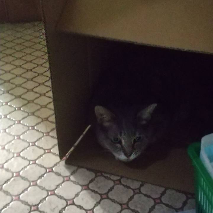 97105e25 b651 4be0 bec8 541822ffaba2 1658794354215